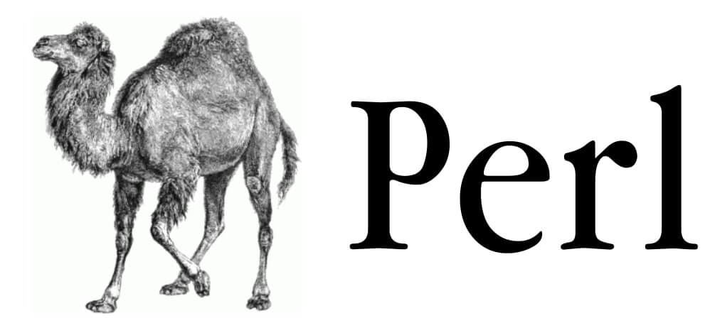 Perl programming language logo